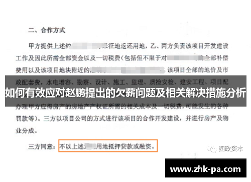 如何有效应对赵鹏提出的欠薪问题及相关解决措施分析 如何有效应对赵鹏提出的欠薪问题及相关解决措施分析