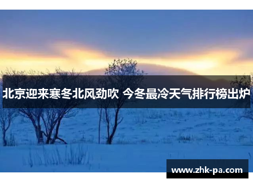 北京迎来寒冬北风劲吹 今冬最冷天气排行榜出炉 北京迎来寒冬北风劲吹 今冬最冷天气排行榜出炉