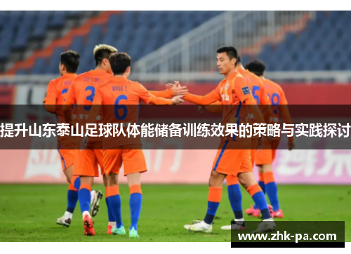 提升山东泰山足球队体能储备训练效果的策略与实践探讨