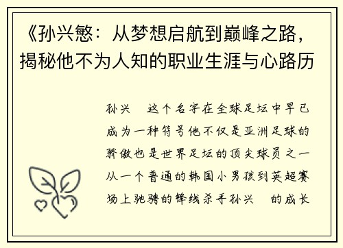 《孙兴慜:从梦想启航到巅峰之路,揭秘他不为人知的职业生涯与心路历程》 《孙兴慜:从梦想启航到巅峰之路,揭秘他不为人知的职业生涯与心路历程》